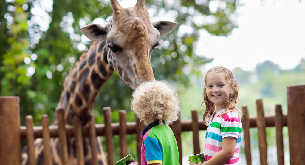 Kid-Friendly Adventures in York – A Parent’s Guide